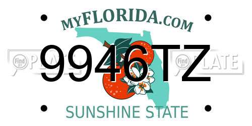 9946TZ Florida License Plate