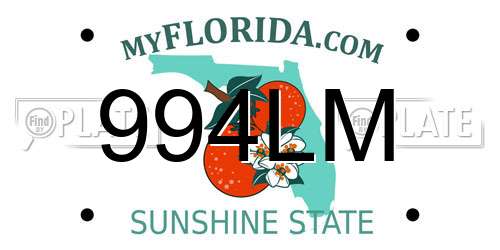 994LM Florida License Plate