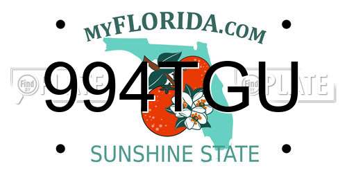 994TGU Florida License Plate