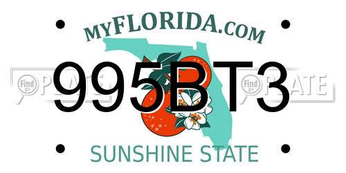 995BT3 Florida License Plate