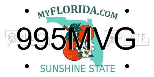 995MVG Florida License Plate