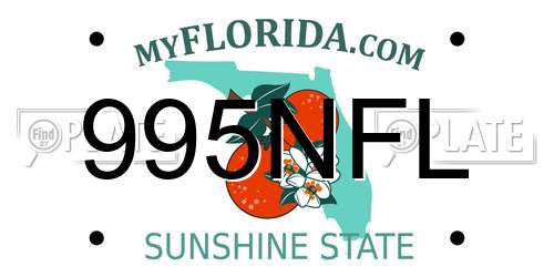 995NFL Florida License Plate