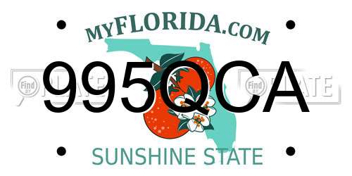 995QCA Florida License Plate
