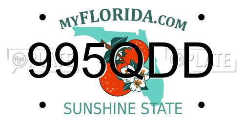 995QDD Florida License Plate