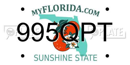 995QPT Florida License Plate