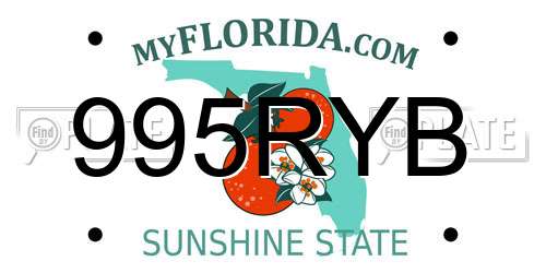 995RYB Florida License Plate