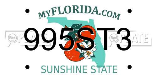995ST3 Florida License Plate