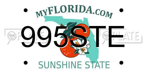 995STE Florida License Plate