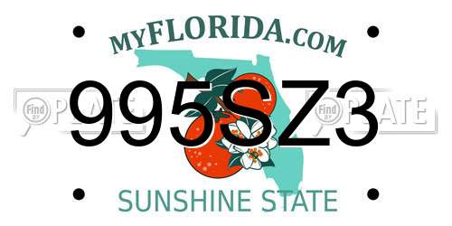 995SZ3 Florida License Plate