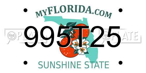 995T25 Florida License Plate