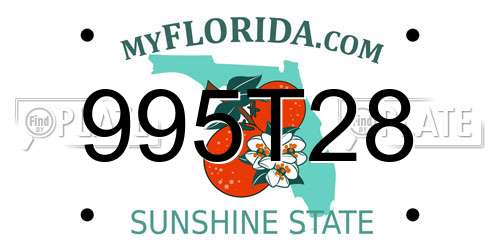 995T28 Florida License Plate