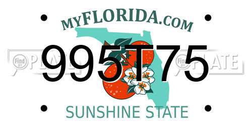 995T75 Florida License Plate