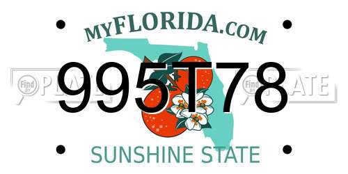 995T78 Florida License Plate