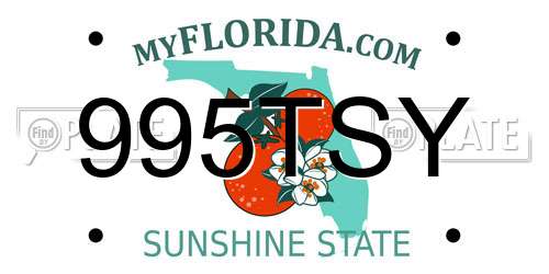 995TSY Florida License Plate