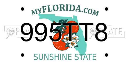 995TT8 Florida License Plate