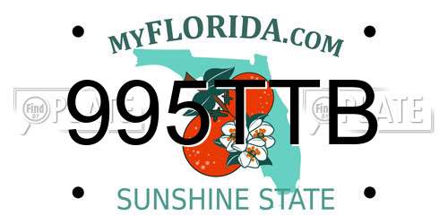 995TTB Florida License Plate
