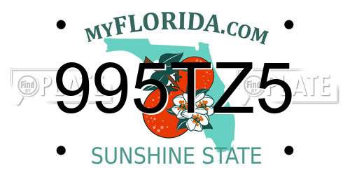 995TZ5 Florida License Plate
