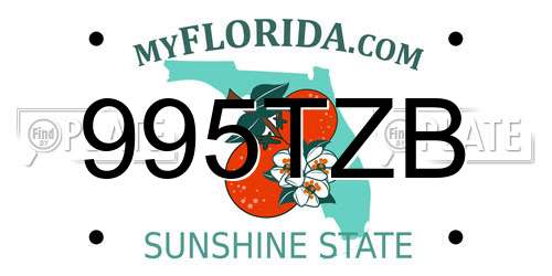 995TZB Florida License Plate