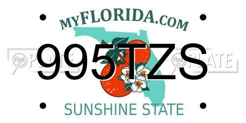 995TZS Florida License Plate