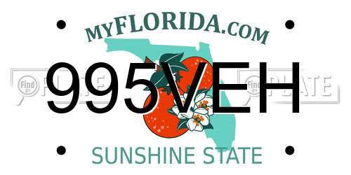 995VEH Florida License Plate