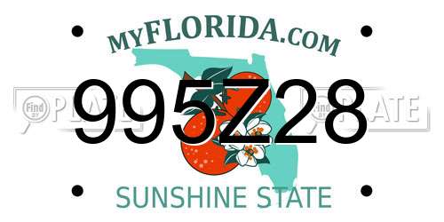 995Z28 Florida License Plate