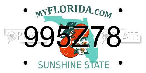 995Z78 Florida License Plate