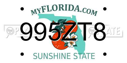 995ZT8 Florida License Plate