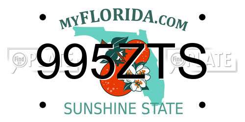 995ZTS Florida License Plate
