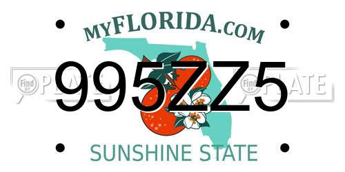 995ZZ5 Florida License Plate