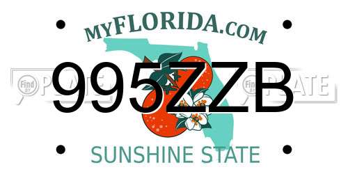 995ZZB Florida License Plate