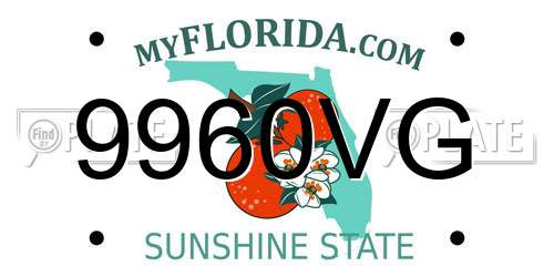 9960VG Florida License Plate