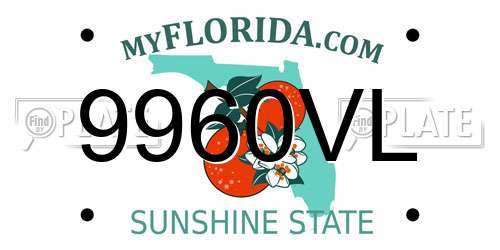 9960VL Florida License Plate