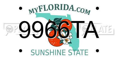 9966TA Florida License Plate