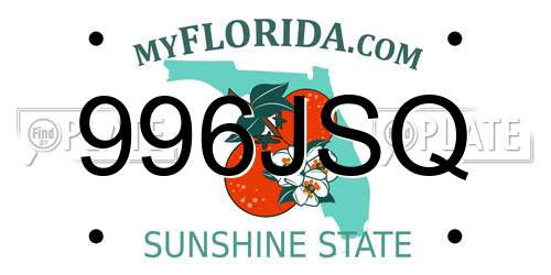 996JSQ Florida License Plate