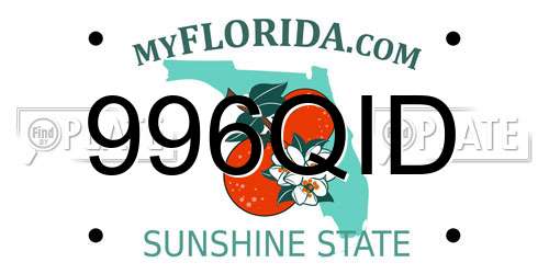 996QID Florida License Plate