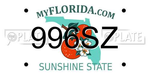 996SZ Florida License Plate
