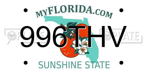 996THV Florida License Plate