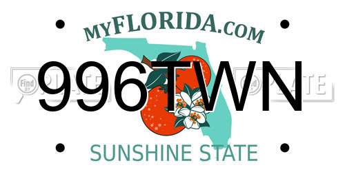 996TWN Florida License Plate