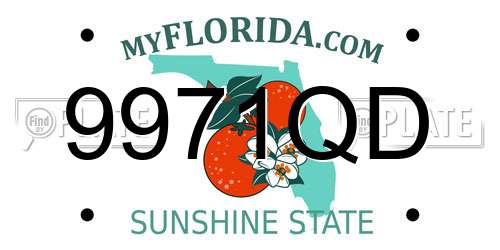 9971QD Florida License Plate