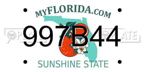 997B44 Florida License Plate