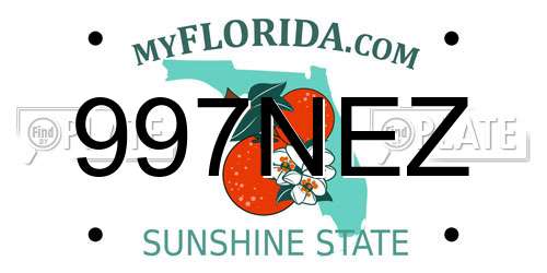997NEZ Florida License Plate