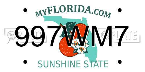 997WM7 Florida License Plate