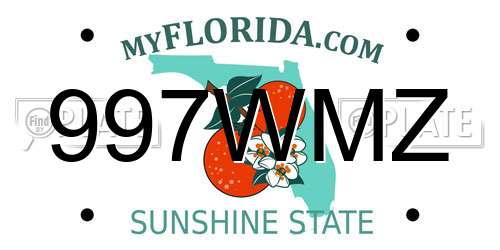 997WMZ Florida License Plate