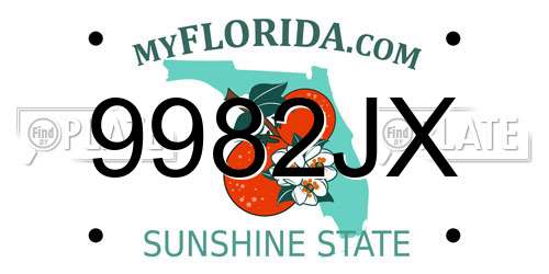9982JX Florida License Plate