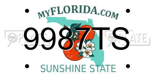9987TS Florida License Plate
