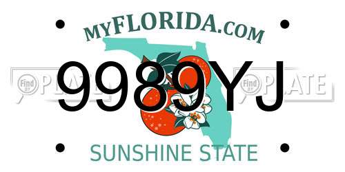 9989YJ Florida License Plate
