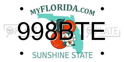 998BTE Florida License Plate