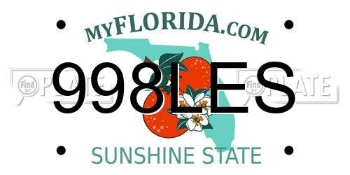 998LES Florida License Plate