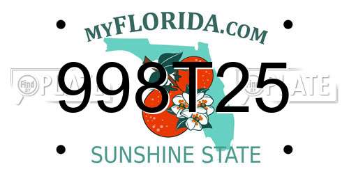 998T25 Florida License Plate