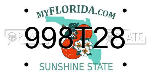 998T28 Florida License Plate